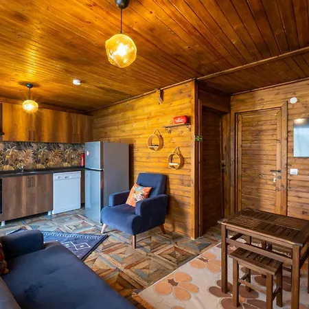Muestakil Tatil Evi Fethiye